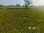 Residential plot in umarpoti 80 feet road se 50 meter