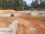 Plot for sale 200 meeter from vembayam mc road