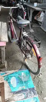 Best cycle