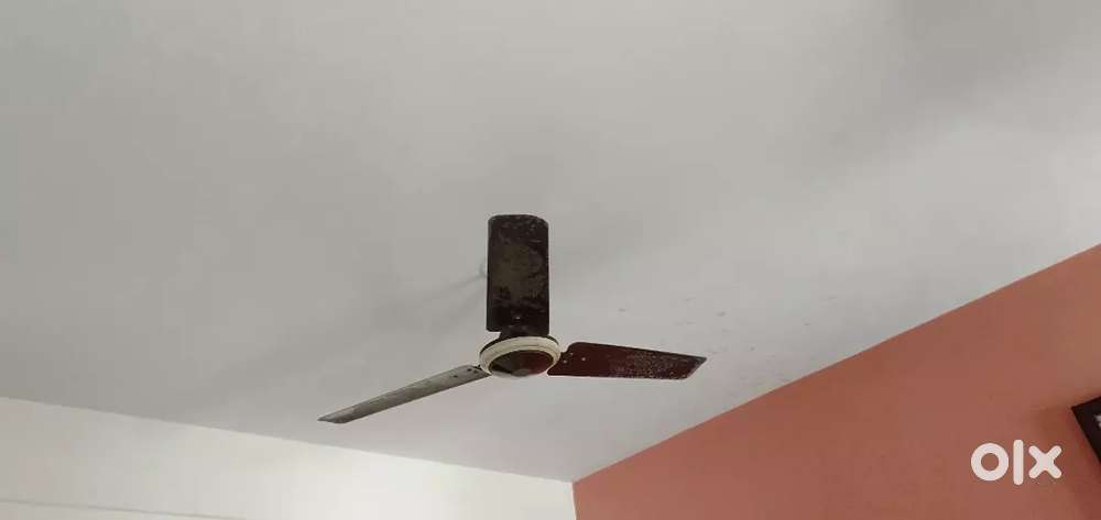 Ceiling fan