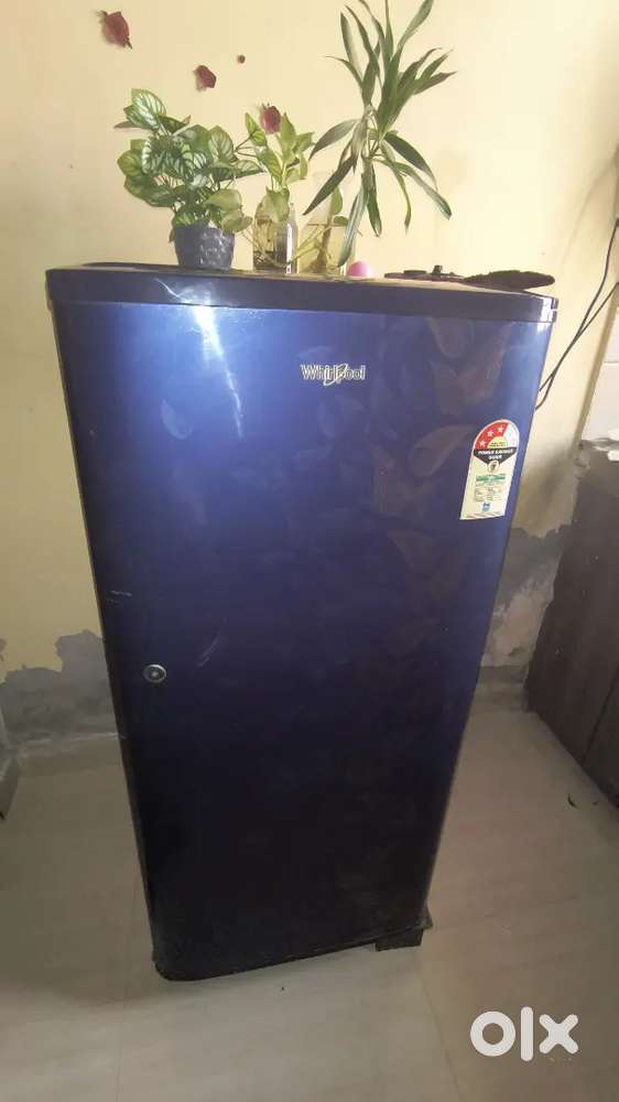 Single Door 190L refrigerator
