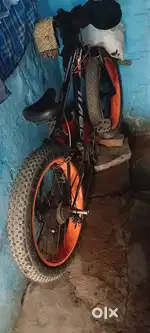 Fat bike cycle