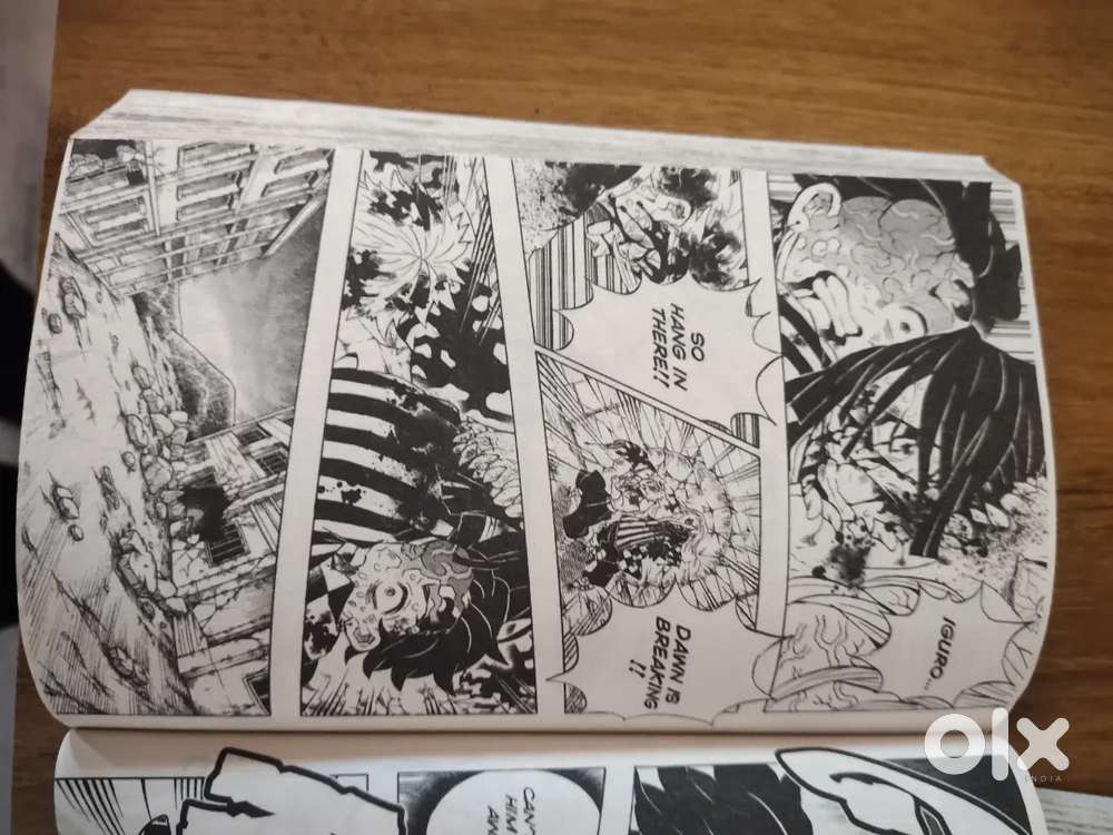 Demon slayer manga,story and tell by koyoharu gotouge