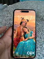 15 Puls 256GB
