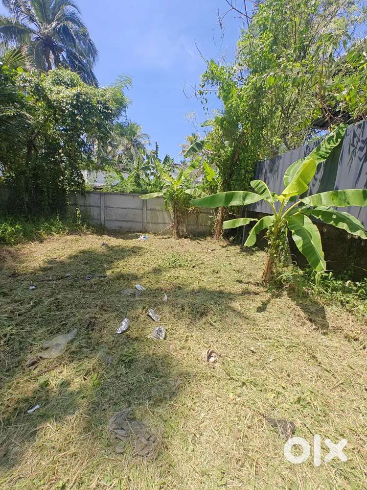 4.08 cents land for sale (purayidam)