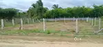 Plot for a sale