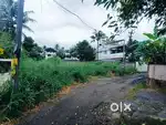 6&10,17 Cent. Aluva Companipady House Plots Tar Road Frontage
