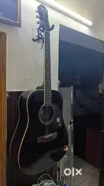 EPIPHONE (Gibson) PRO-1 Gloss Black Mahogony Acoustic Guitar Imported