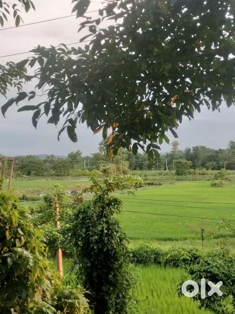 NS37 miwadi road side land