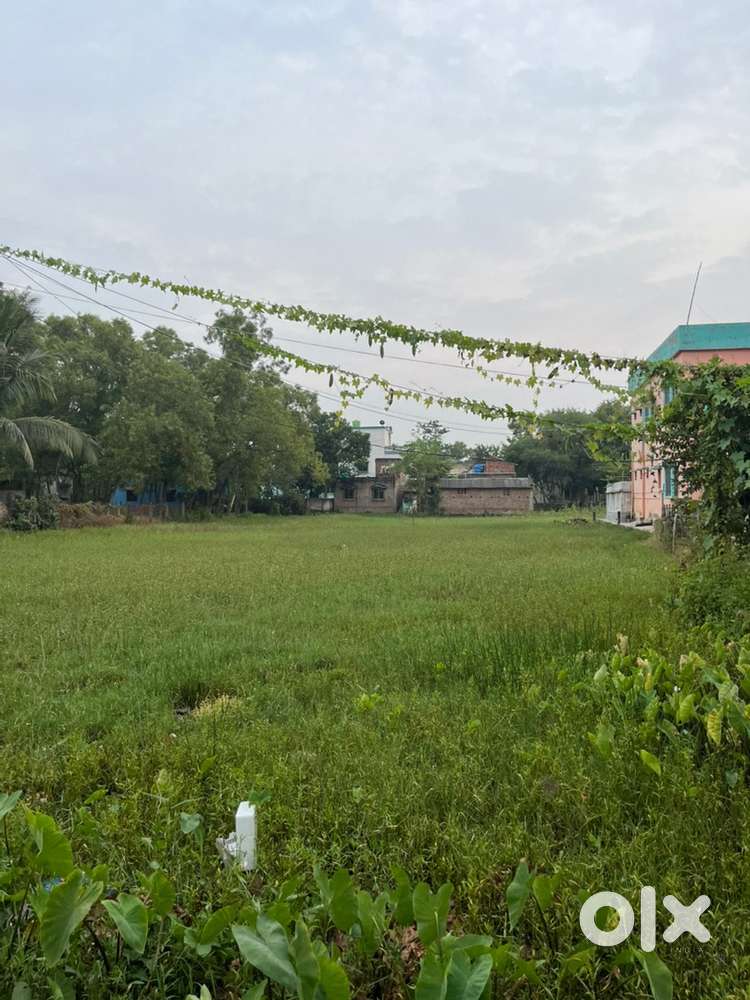Cheapest plot for sale near salar office para