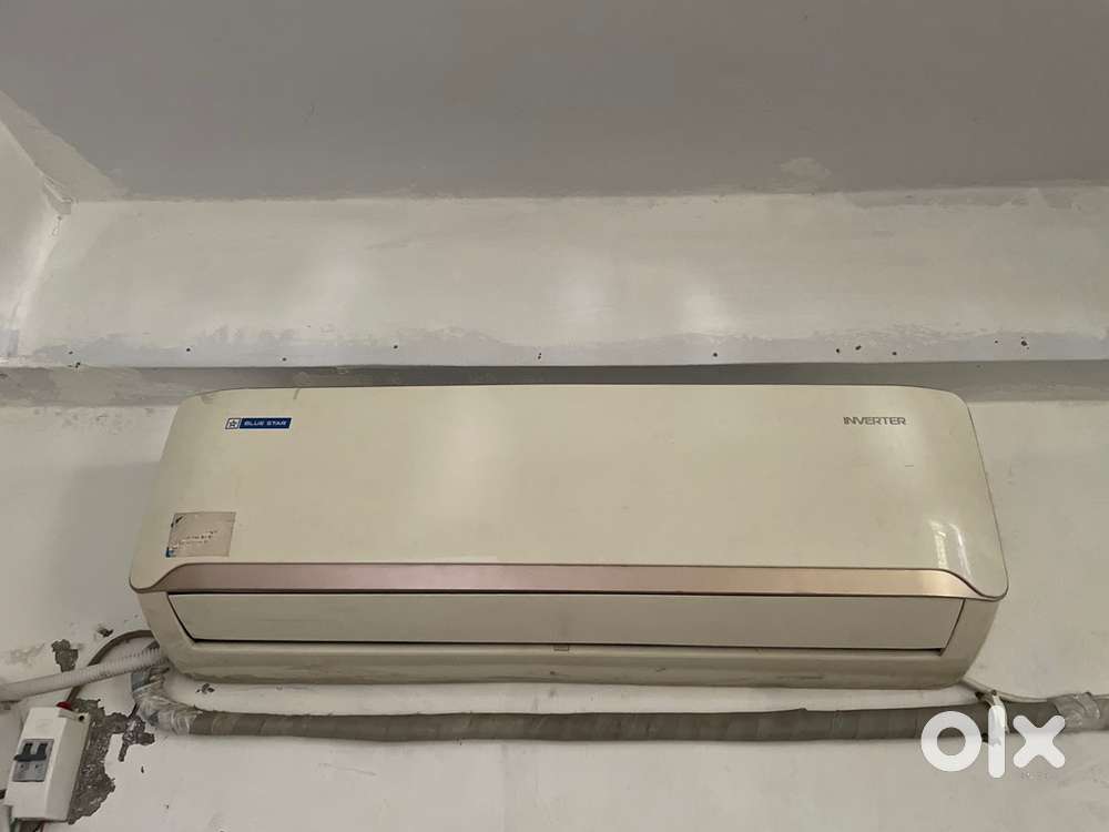 Bluestar AC Inverter