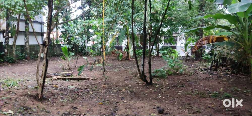 Plot for Sale @ Perunna