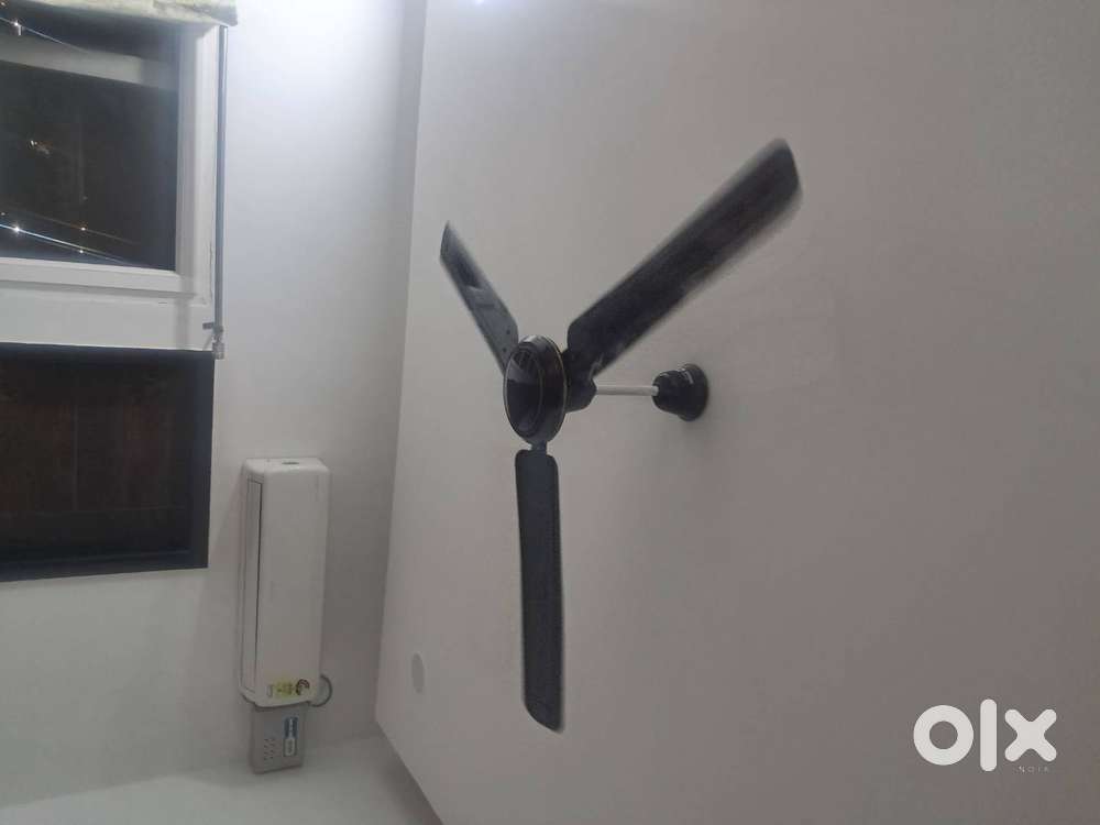 Ceiling fan in good condition. 1 year old.