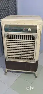 Simmy the coolest one cooler