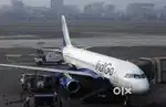 350+ seats Hiring Male Female Candidates in INDIGO AIRLINES All facil