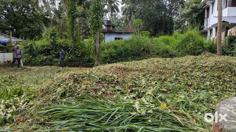 5 CENT LAND FOR SALE NEAR MIMS HOSPITAL CALICUT