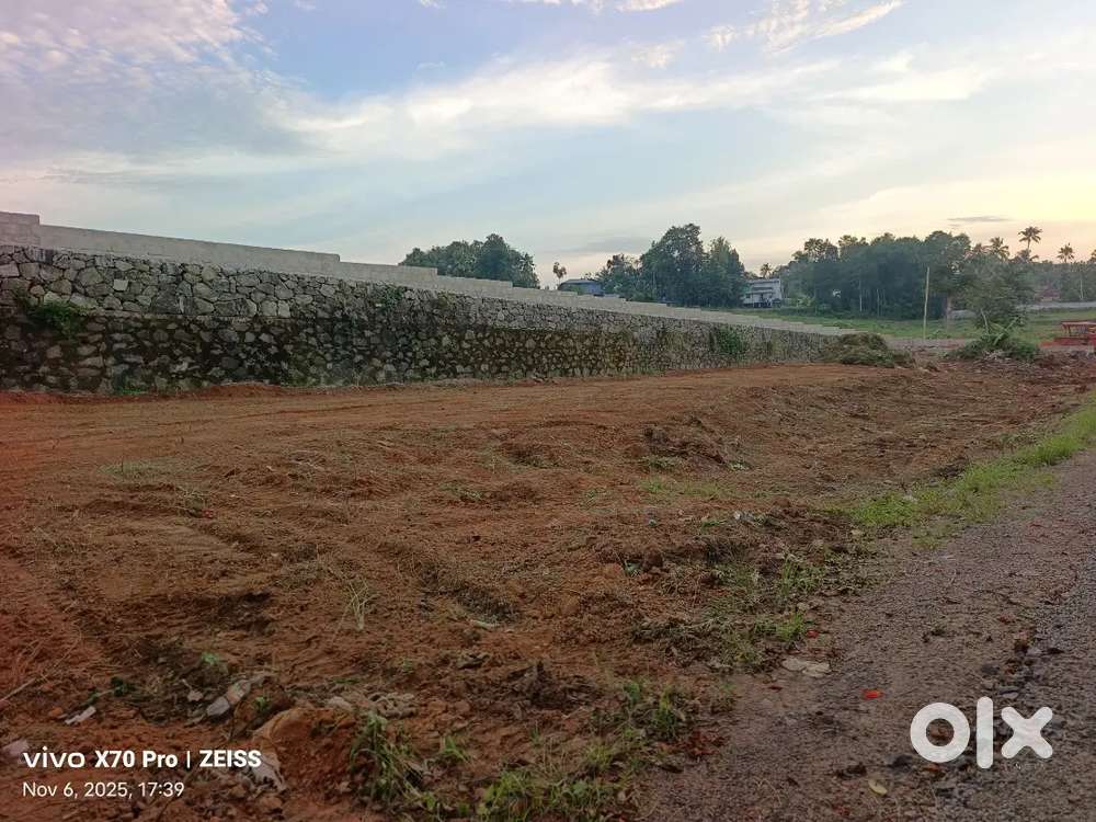 30 CENT ORIGINAL LAND NEAR THIRUVANKULAM MAAMALA