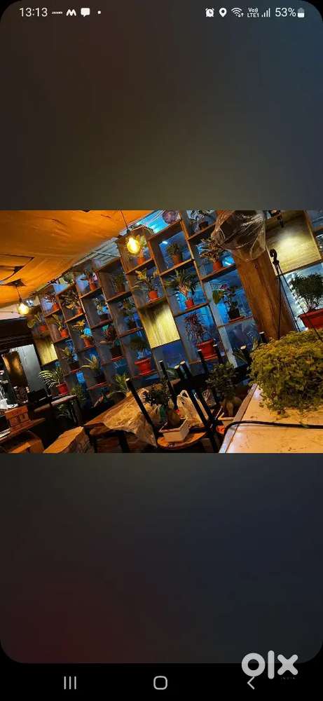 Wanted continental chef our Cafe