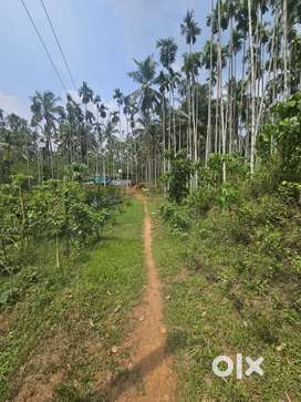 9 acres Land For sale at PADIYOTTUCHAL CHERUPUZA