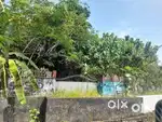 27.5-Cent Commercial Plot for Sale on Kaloor-Kadavanthara Road