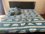perfect bed and mattress for sale used for only 8 months