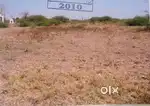 Block 489, Village Narthan, Sub Dist: Olpad Dist: Surat