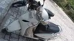 New  sccoty