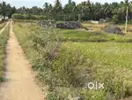 3 Acre agricultural land sale