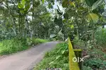 PALLIKKARA MORAKKALA VEMBILLY PARAKOD 21 CENT INFOPARK KAKKANAD 8 KM