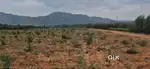 For Sale: 5 Acres of Land
