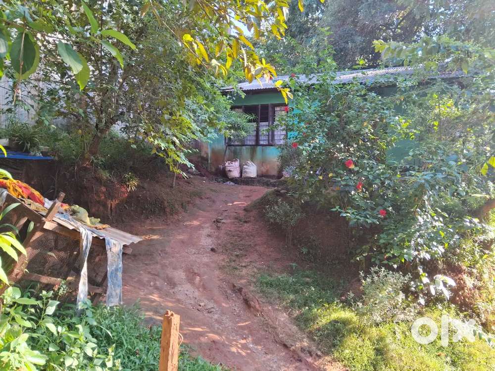 1katha 10 lessa eksonia land with assam type house