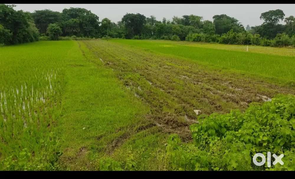 Best location plot for Business