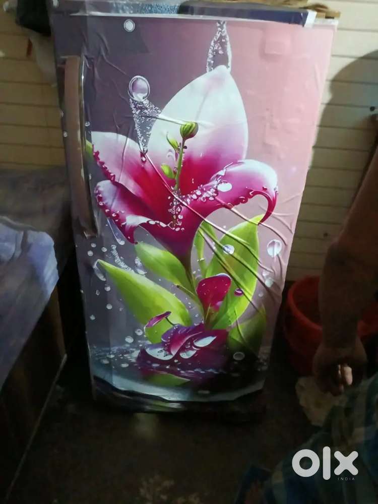 LGGood condition4 Star fridge
