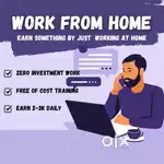 ZERO INVESTMENT WORK