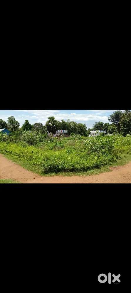 Gidturu makavarapalem mandal visakhapatnam