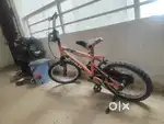 Avon 20 inch cycle