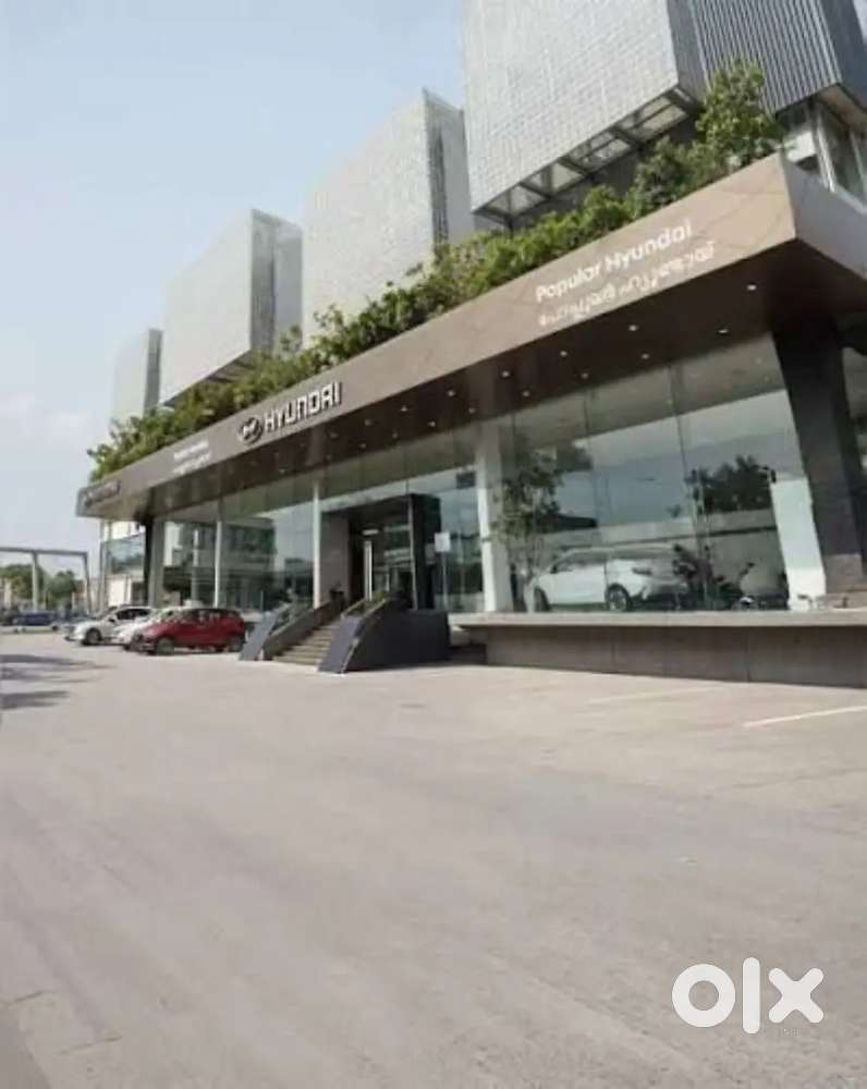 Hiring Sales Executive - Car Showroom