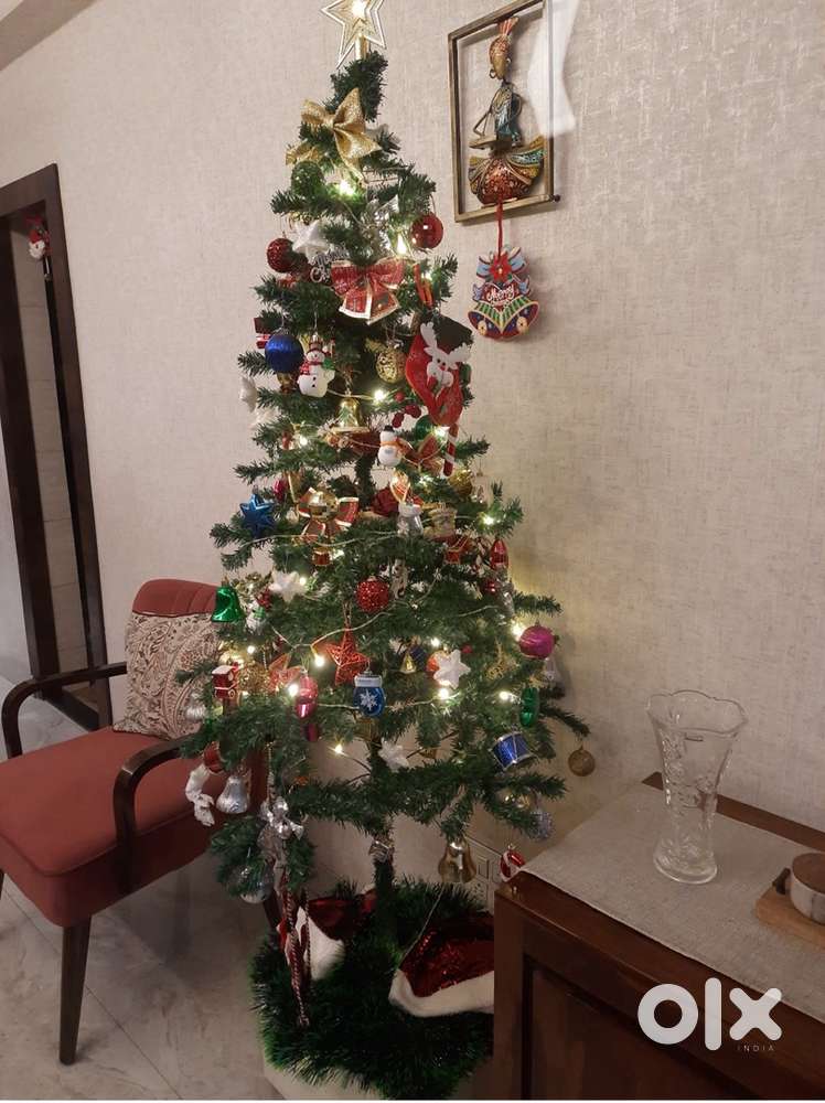 Beautiful Christmas tree without decorations