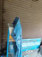 Shop near main bus road 11 b cross kodical