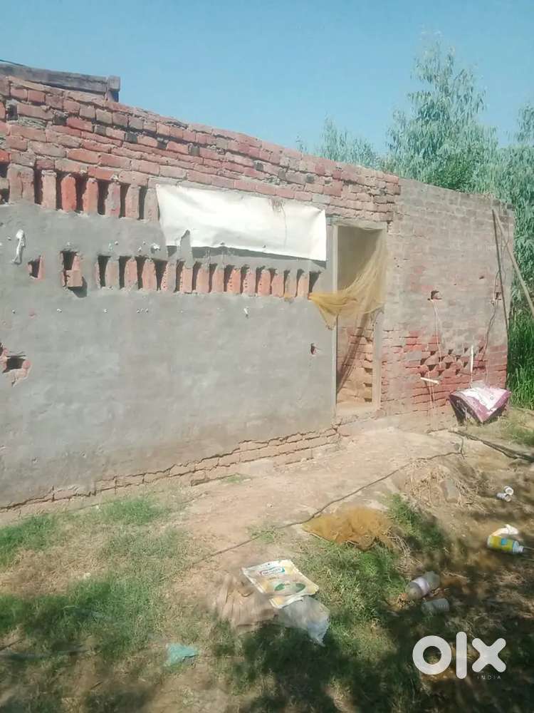 Pig farm for rent