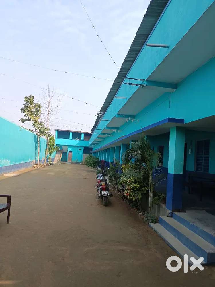 Wanted female/male teacher