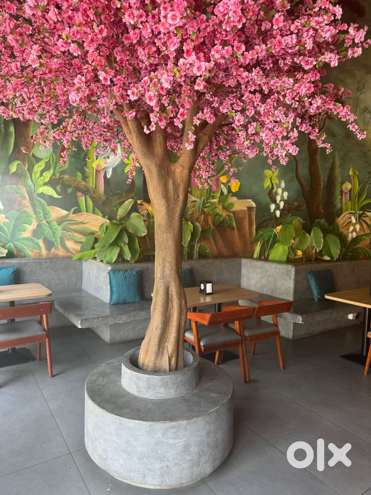 Executive Chef - 1No. & Restaurant Manager - 1No