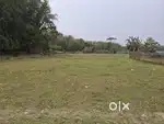 4.16 Luca land for sale