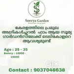 Telecalling job