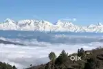 Property sale in Mukteshwar