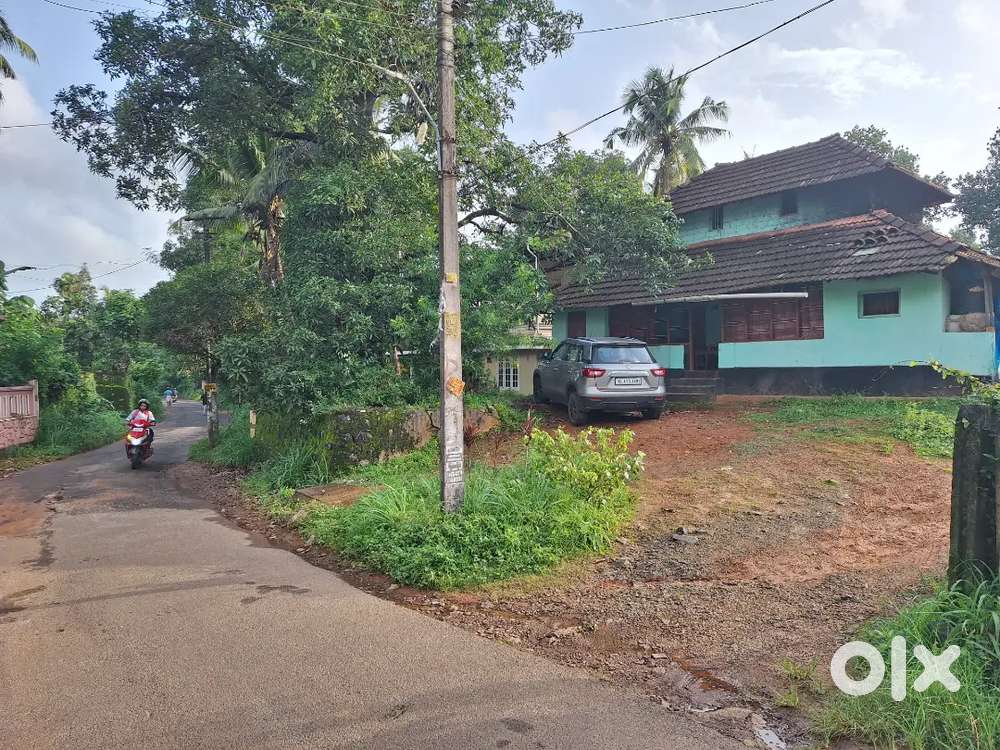 വെള്ളച്ചിറയിൽ 5 സെൻറ് സ്ഥലവും പഴയ ഓട് വീടും വില്പനയ്ക്ക്