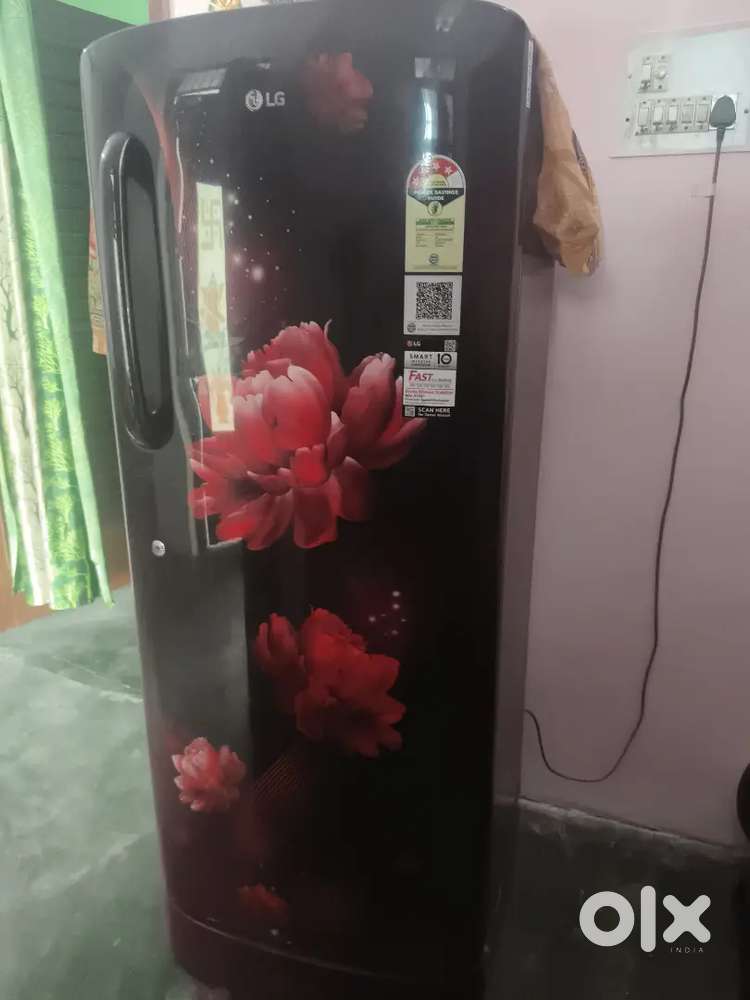 LG 4 star 224 ltr Fridge