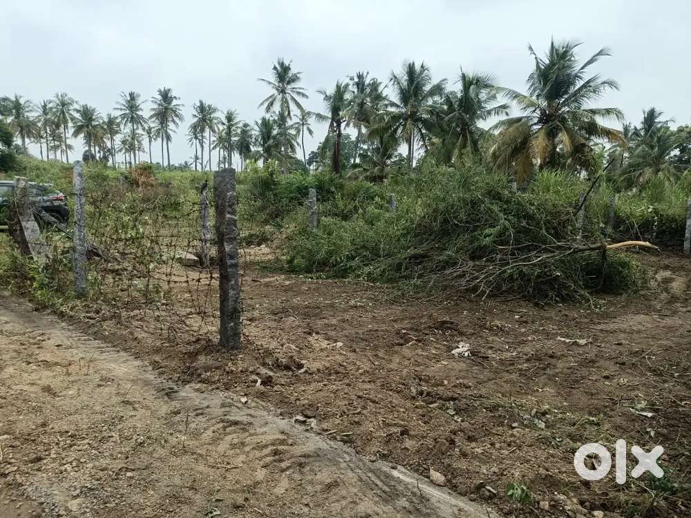 Am Salling my plot 1500 sq ft facing south near pudhuroad moola kadai