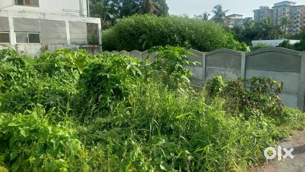 3.5 cents plot without any building .