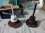 Celling Fans
